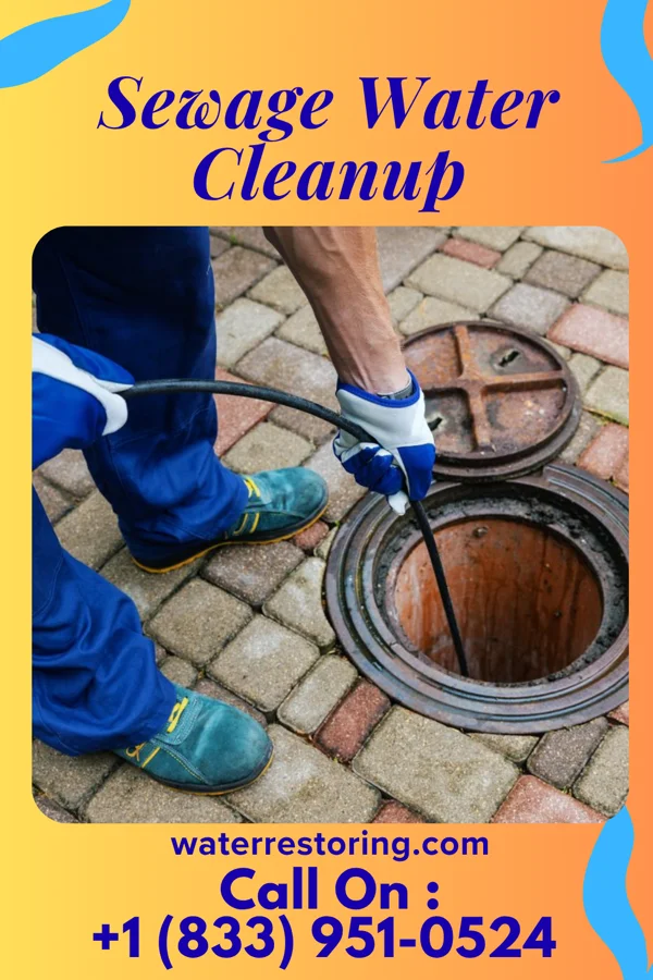 Sewage Water Cleanup in Pilot Grove, MO